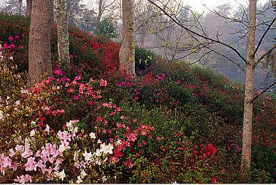 解谜游戏《征服者》Steam页面上线 10月20日发售